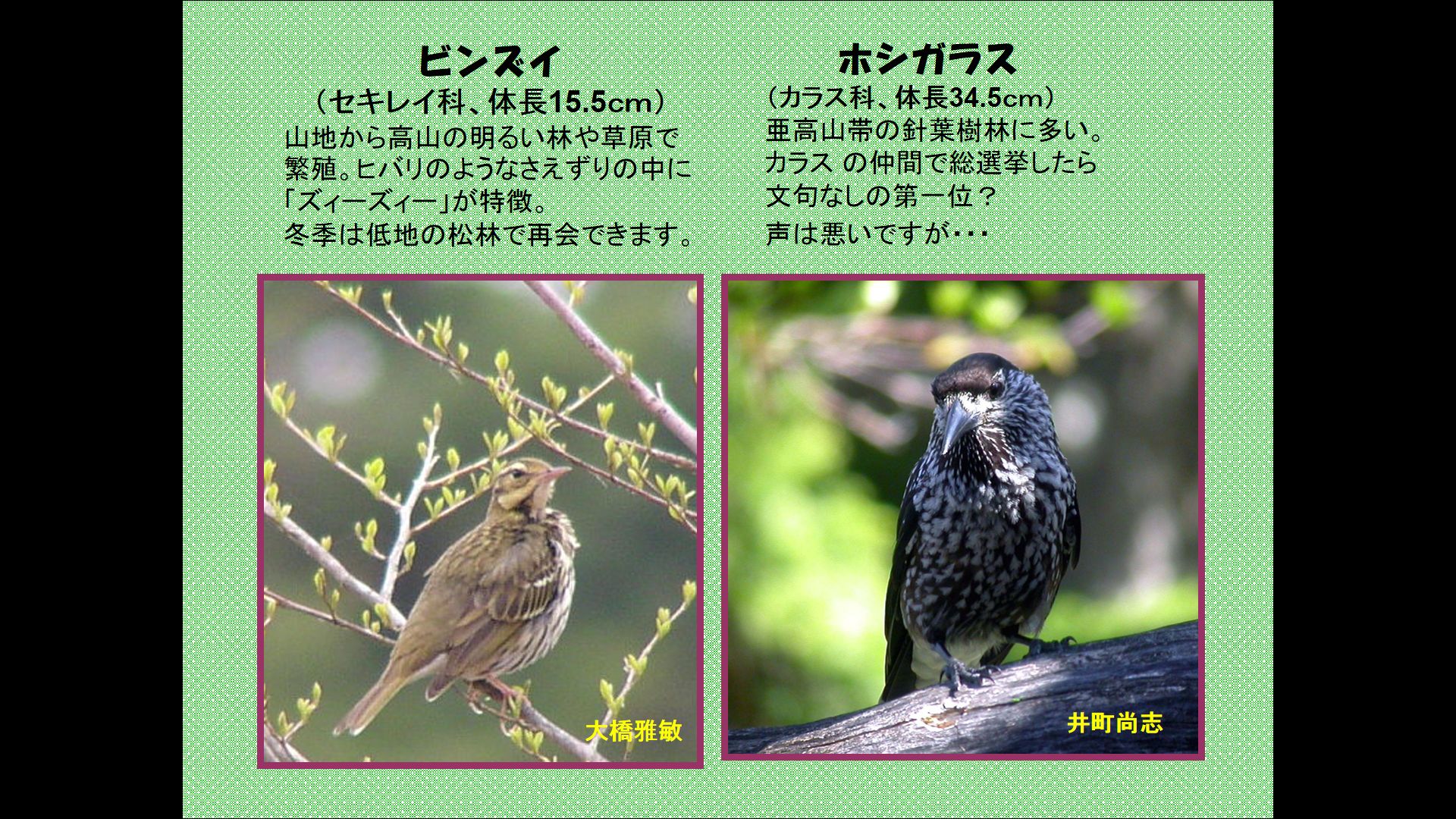 日本野鳥の会 埼玉