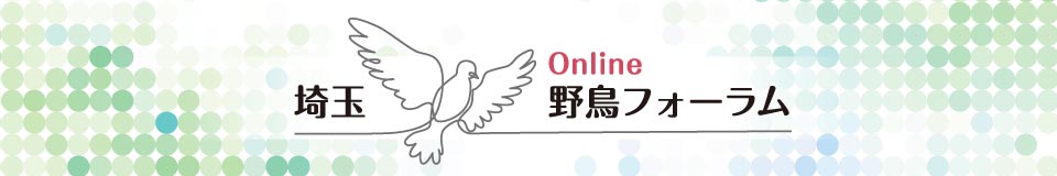 埼玉オンライン野鳥フォーラム