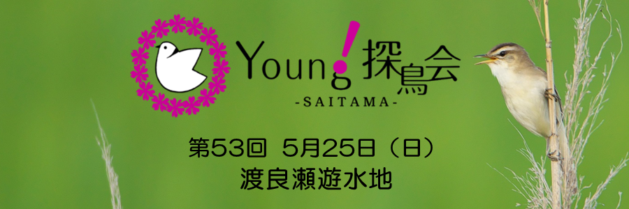 群馬県･渡良瀬遊水地ヤング探鳥会
