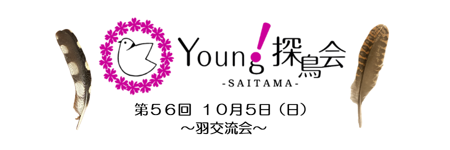 yantan-56"