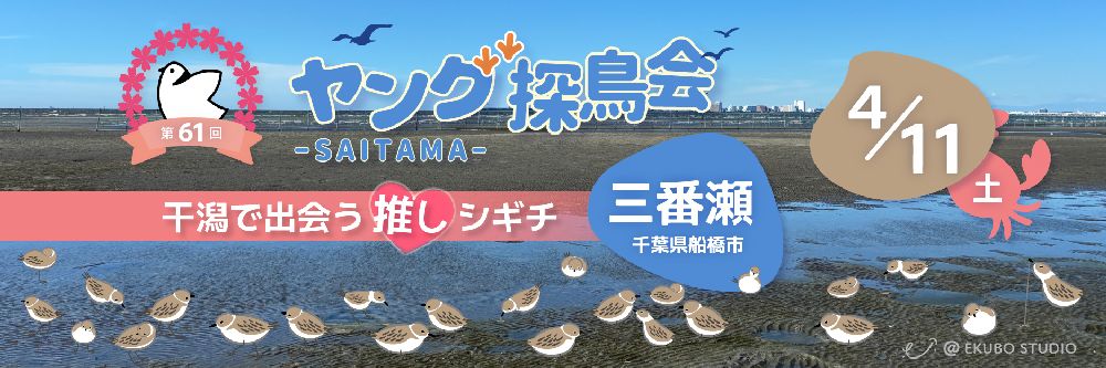 Young探鳥会・三番瀬