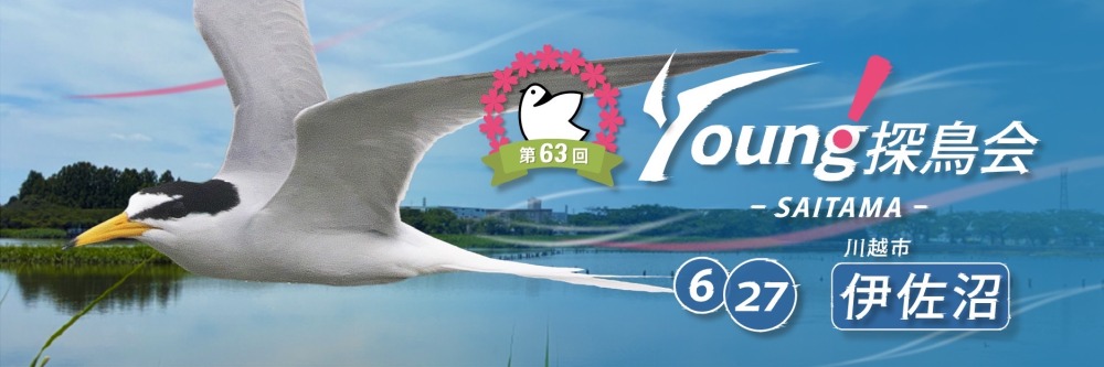 川越市･Young探鳥会伊佐沼