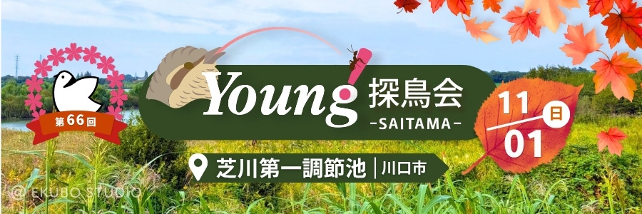 Young探鳥会 芝川第一調節池